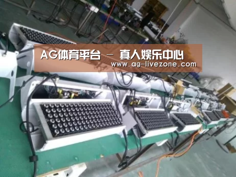 AG体育案例展示一