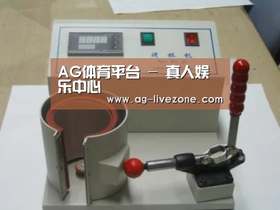 AG体育案例展示六