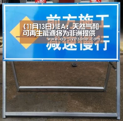 (11月13日)IEA:天然气和可再生能源将为非洲提供电力|AG足球(图2) AG体育