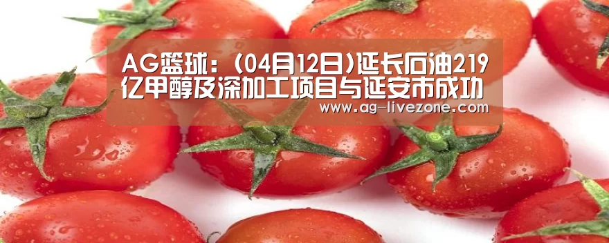 AG篮球:(04月12日)延长石油219亿甲醇及深加工项目与延安市成功签约(图1) AG足球