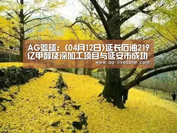 AG篮球:(04月12日)延长石油219亿甲醇及深加工项目与延安市成功签约(图2) AG体育